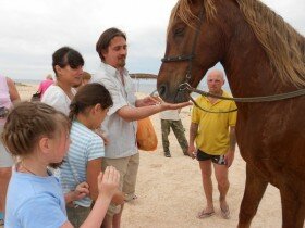 Дети Алчевской Духовной Лечебницы на конных прогулках